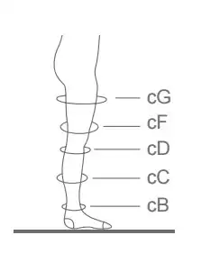 Артикул 2856-2